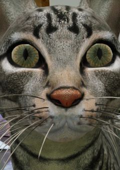 つぶやき