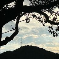 こんぶー。/月一投稿目標/さんのアイコン画像