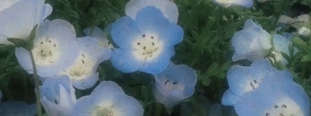 🤞🏻 玲奈 🌀 @短編集作ります！さんの壁紙画像