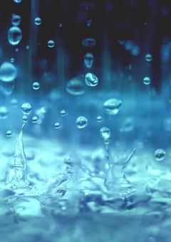 なんで君が...       曲パロ。