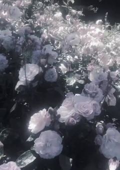 子供達がずっと子供のままでいられる楽園 。