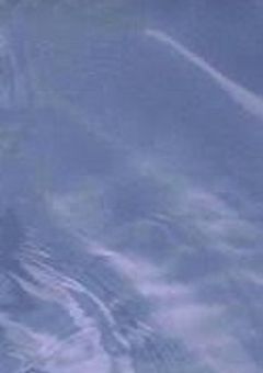 幻奏精神病院 ＿＿＿＿