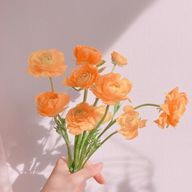 絵里奈さんのアイコン画像