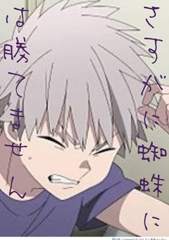 さすがに蜘蛛には勝てません