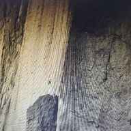 ジュント（成人済）  フォロセ完了さんのアイコン画像