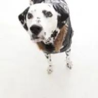 Maki  Yoshidaさんのアイコン画像