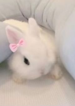 　　じぇおわんの溺愛お姫様　⟡.·