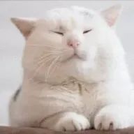 な無しさんのアイコン画像