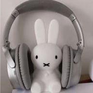 💗𝐦𝐢𝐬𝐚𝐤𝐢💗さんのアイコン画像