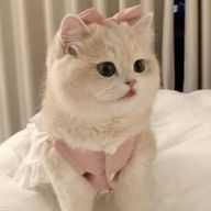 hosiya◝✩さんのアイコン画像