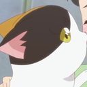 ミーコ