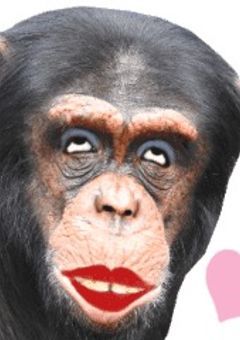 面白うざうざ写真集