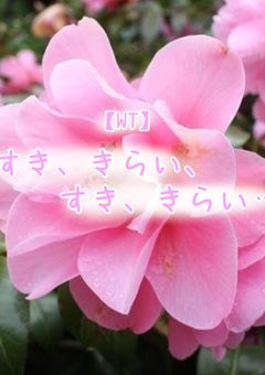 【WT】すき、きらい、すき、きらい…