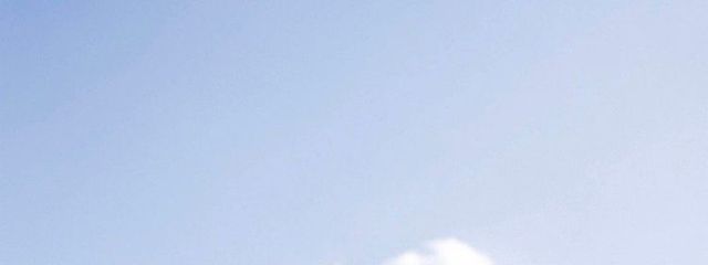 もかさんの壁紙画像