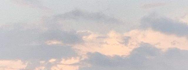 青いシナモンさんの壁紙画像