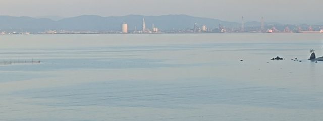 妃愛（偽名）さんの壁紙画像