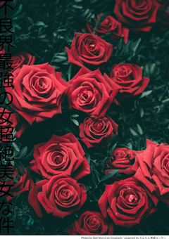 不良界最強の女超絶美女な件