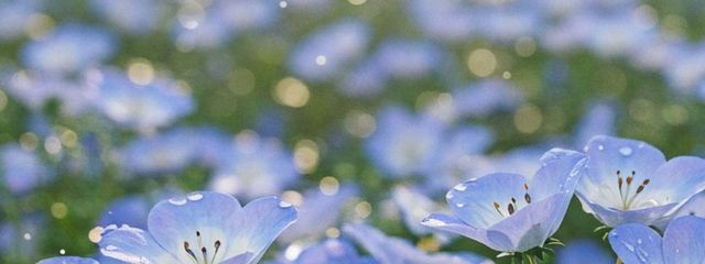 𝒓𝒊𝒏さんの壁紙画像