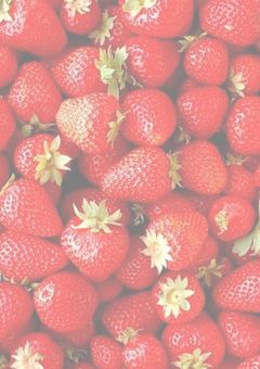 僕 ら の お 姫 様