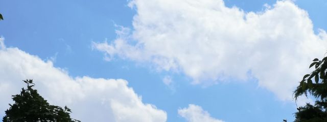 ituki‬𓃠さんの壁紙画像