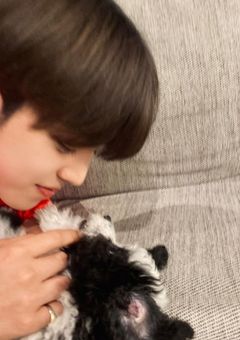 別れよう、って伝えたら溺愛された