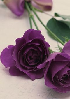 あるモブの話し 。