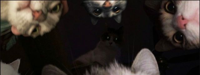  ︎︎さんの壁紙画像