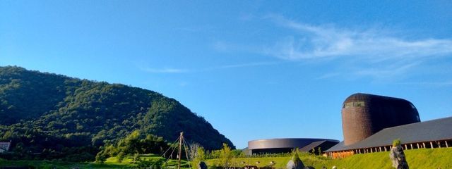 Yめい🍀のん🫧さんの壁紙画像