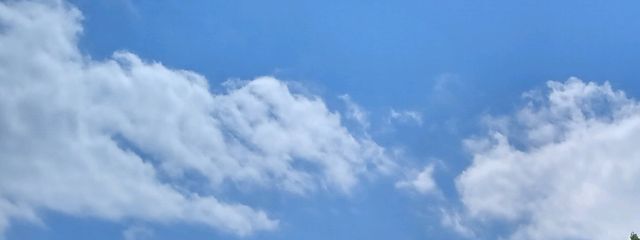 ねこしぐれさんの壁紙画像