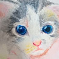 ねこしぐれさんのアイコン画像