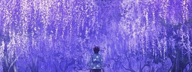 AYNさんの壁紙画像