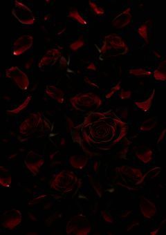 カウントダウン