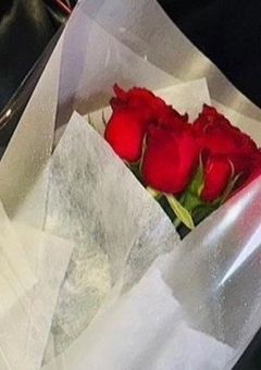 💎)メンバーに恋してもいいですか？