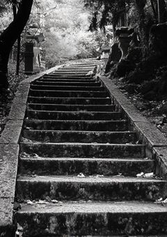 ぼくのかみさま