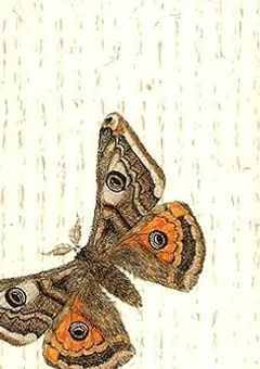 __異能力“少年の日の思い出”