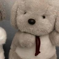 ば ぶ れ ん ✩.*🍓💍⋆☽︎·̩͙　さんのアイコン画像