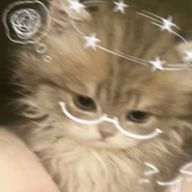 ば ぶ 。さんのアイコン画像