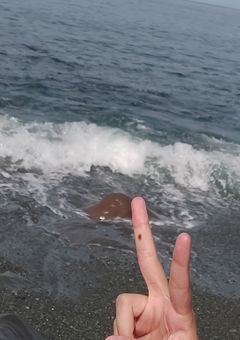 海の輝きと失踪~時は過ぎ行く~