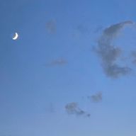 ｳｫﾆｮﾝさんのアイコン画像