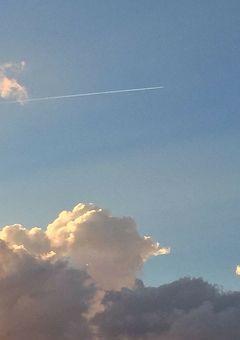 君の名前を探して、