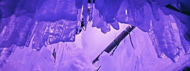 ラッキーさんの壁紙画像