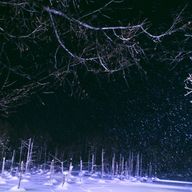 ラッキーさんのアイコン画像