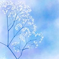 まなさんのアイコン画像