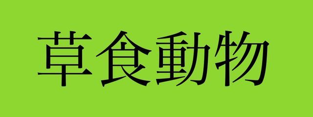 蘭千代さんの壁紙画像