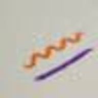 pnさんのアイコン画像