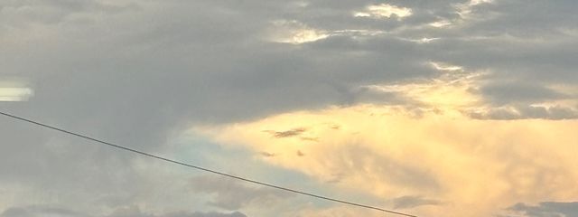 ましゅまろ くん 。　☁さんの壁紙画像