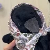 花渚さんのアイコン画像