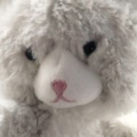 🦭さんのアイコン画像