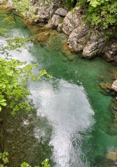 前世に得を積みすぎたのかもしれない😭