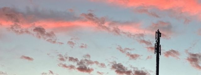 ( ᐛ ✌️)ゆらさんだぉさんの壁紙画像